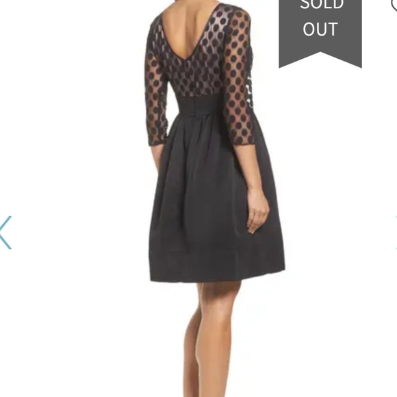 Eiza J Dot Mesh Fit and Flare Dress with pockets - Picture 3 of 15